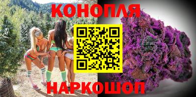 прущие крисы Ставрополь