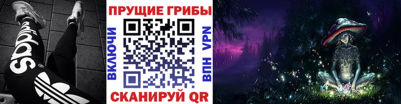 дарнет шоп Фролово Галлюциногенные грибы MAGIC MUSHROOMS