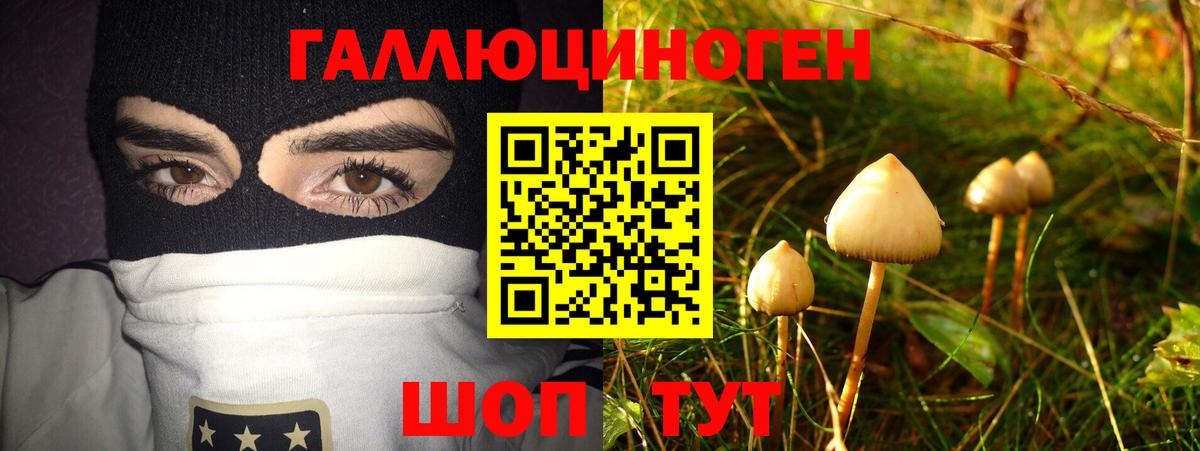 Галлюциногенные грибы мухоморы  Вход с VPN  Фролово 